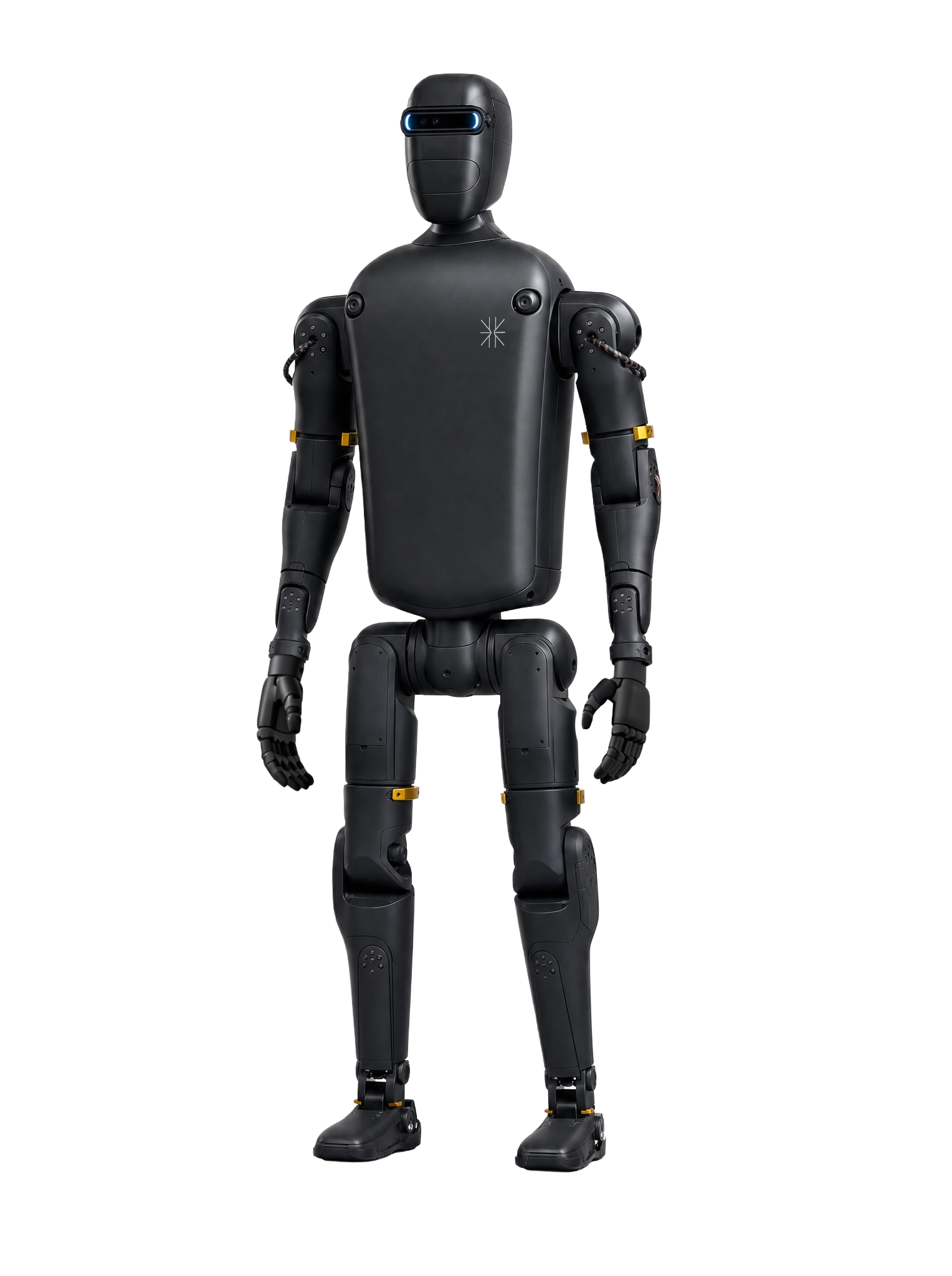 RObot, LD Robots' black humanoid robot, standing upright in a studio